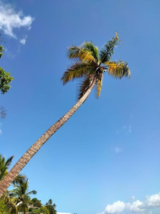 Villa Nautilia, Vue Mer, Proche Plage Les Trois-Ilets Esterno foto
